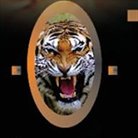 RAJESH OBEROI (MAKING OF TIGER)